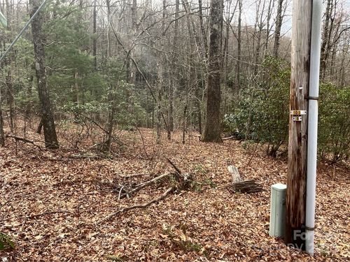 999 Panther Gap Rd, Brevard, NC, 28712 | Card Image