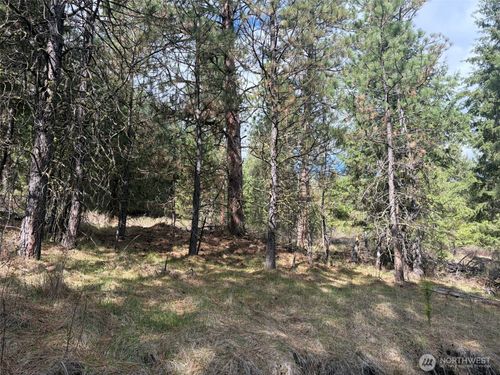 111 TBD E West Curlew Lake Road, Republic, WA, 99166 | Card Image