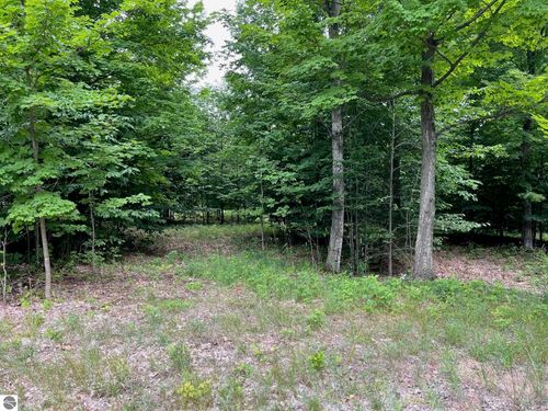 11 W Timberview Trl, Empire, MI, 49630 | Card Image