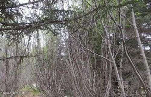 58088 Facio Rd, Clam Gulch, AK, 99568 | Card Image