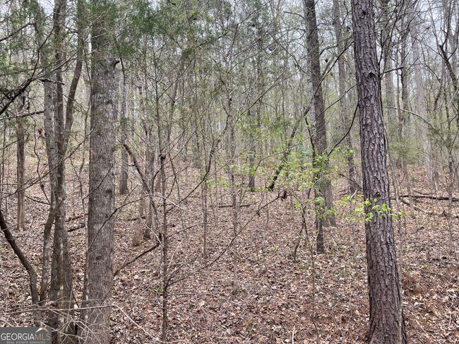 0 Green Oak Cir, Home with 0 bedrooms, 0 bathrooms and null parking in Thomaston GA | Image 10