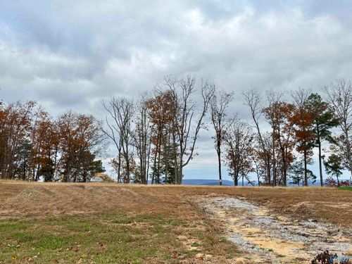 31 Ridge Bluff Cir Se, Huntsville, AL, 35803-1983 | Card Image