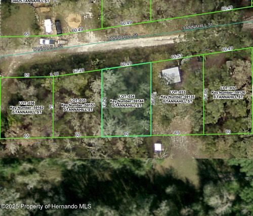 0 Tannahill St, Dade City, FL, 33523 | Card Image