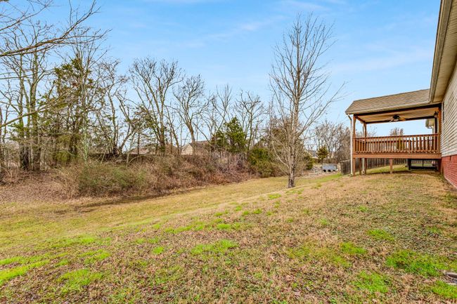 Large back yard with gentle slope | Image 32