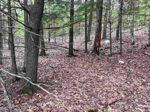 Lot 81 Plumer Hill Rd, Alexandria, NH, 03222-2100 | Card Image