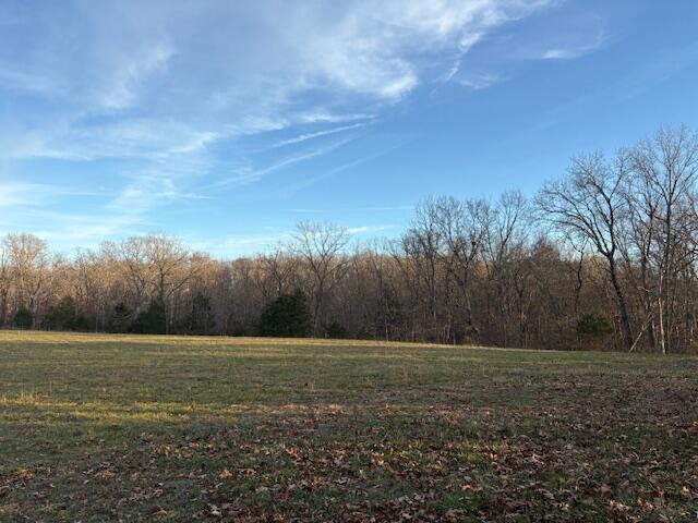 Land in Highlandville 4