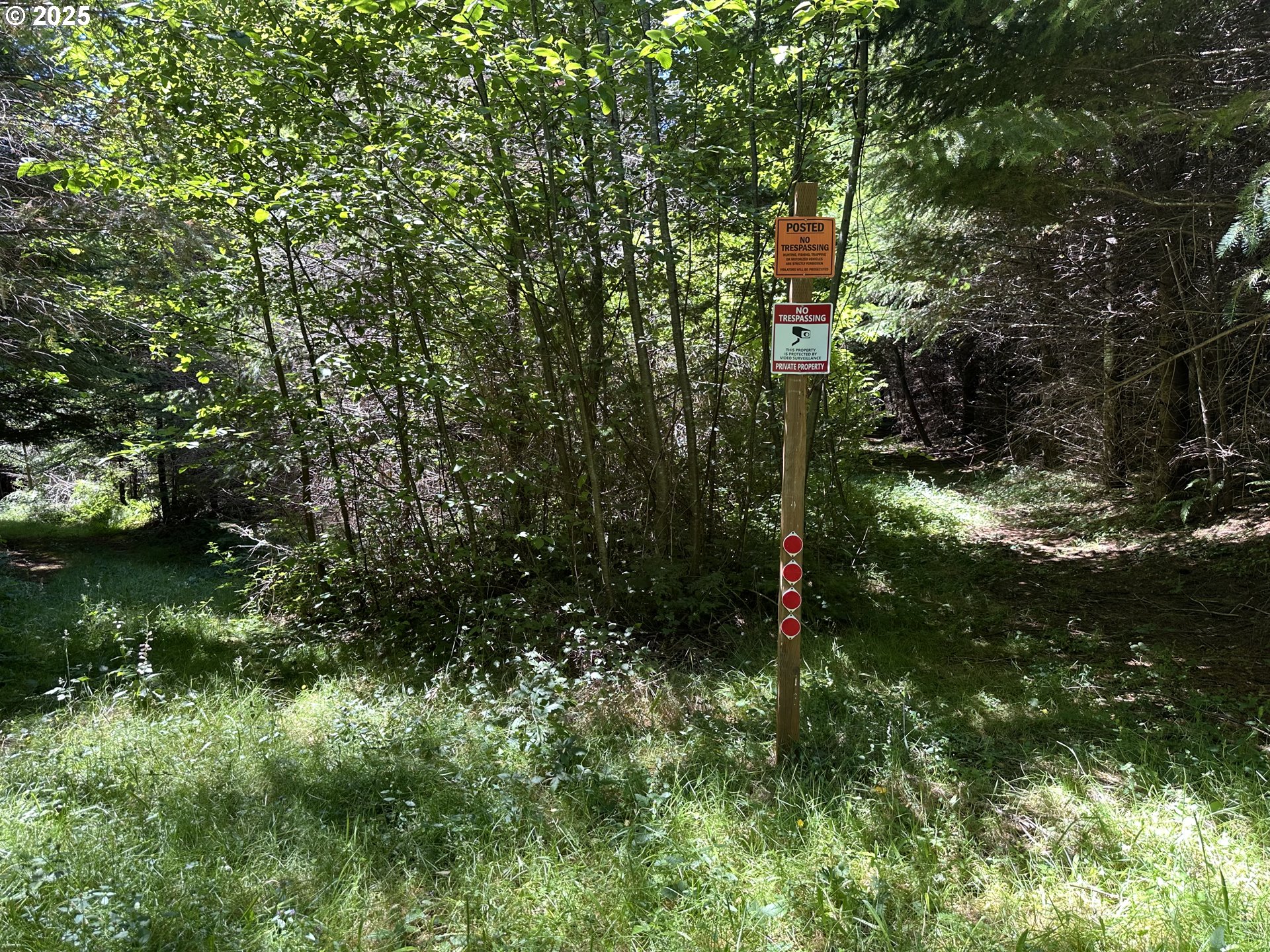 Land in Allegany 4