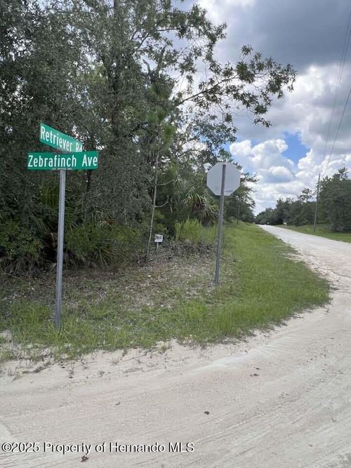 0 Zebrafinch Ave, Brooksville, FL, 34614 | Card Image