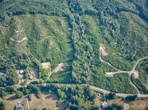 0 Tract 4 S Valley Rd, Naselle, WA, 98638-8500 | Card Image