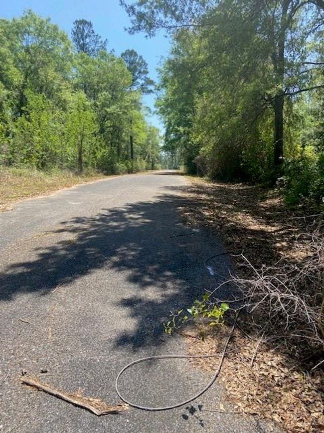 3851 River Rd, Home with 0 bedrooms, 0 bathrooms and null parking in Theodore AL | Image 11