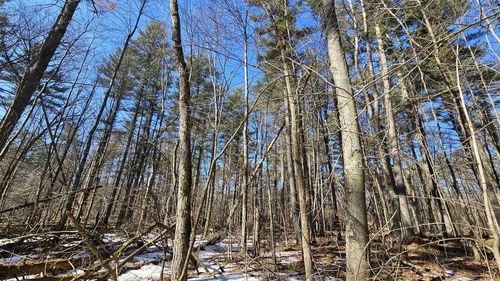 W2319 Medicine Hat Trail, MENOMINEE, WI, 54135 | Card Image