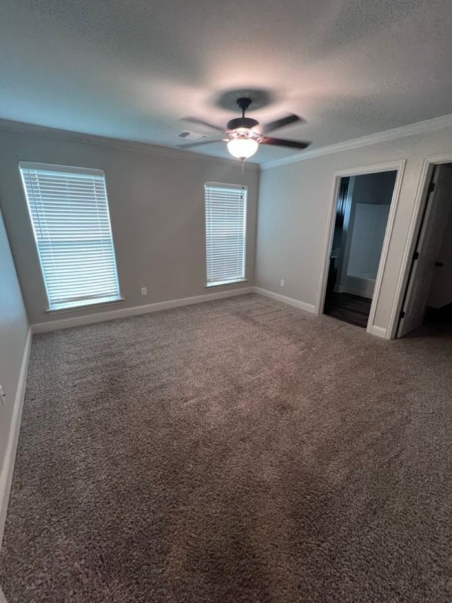 Unfurnished bedroom with crown molding, carpet, baseboards, a textured ceiling, and multiple windows | Image 36