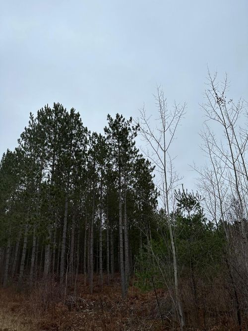 4069-10-ON Swamp Lake Rd, Tomahawk, WI, 54487 | Card Image