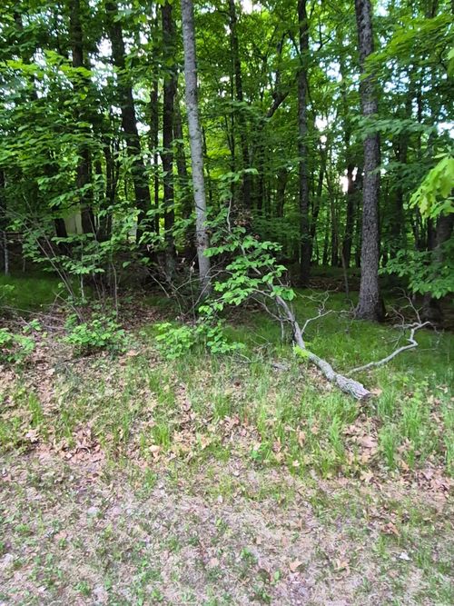 TBD LOT 353 195th Place, McGregor, MN, 55760 | Card Image