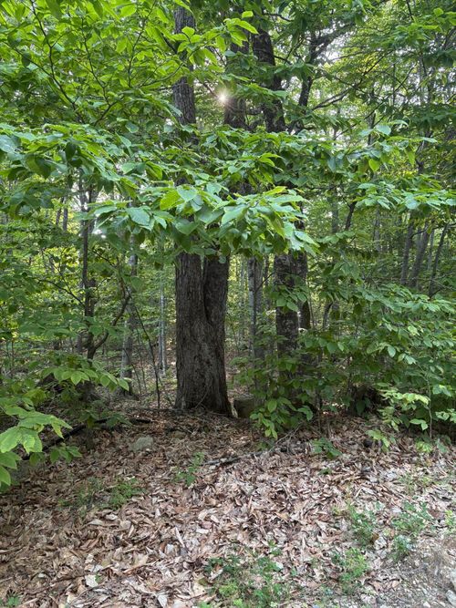 0 Pleasant View Drive, Naples, ME, 04055 | Card Image