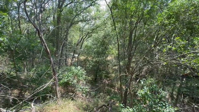 650 Kaukonahua Ln, Home with 0 bedrooms, 0 bathrooms and null parking in Bastrop TX | Image 6