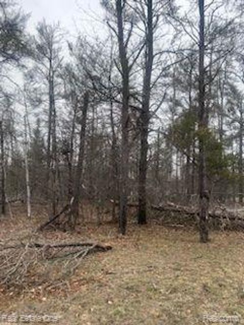 VL Big Creek Road, Charlton Township, MI, 49751 | Card Image