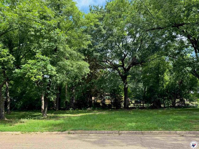 3519 Olive St, House other with 4 bedrooms, 3 bathrooms and null parking in Texarkana TX | Image 30
