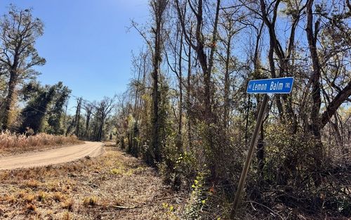 0 Ne River Park Rd, Lee, FL, 32059 | Card Image