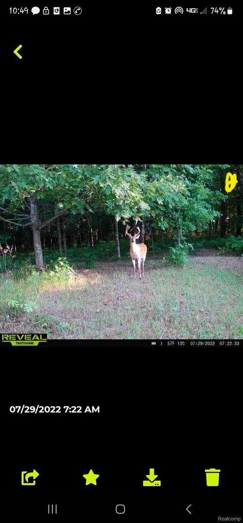 00 Squaw Creek Rd, Fostoria, MI, 48435 | Card Image