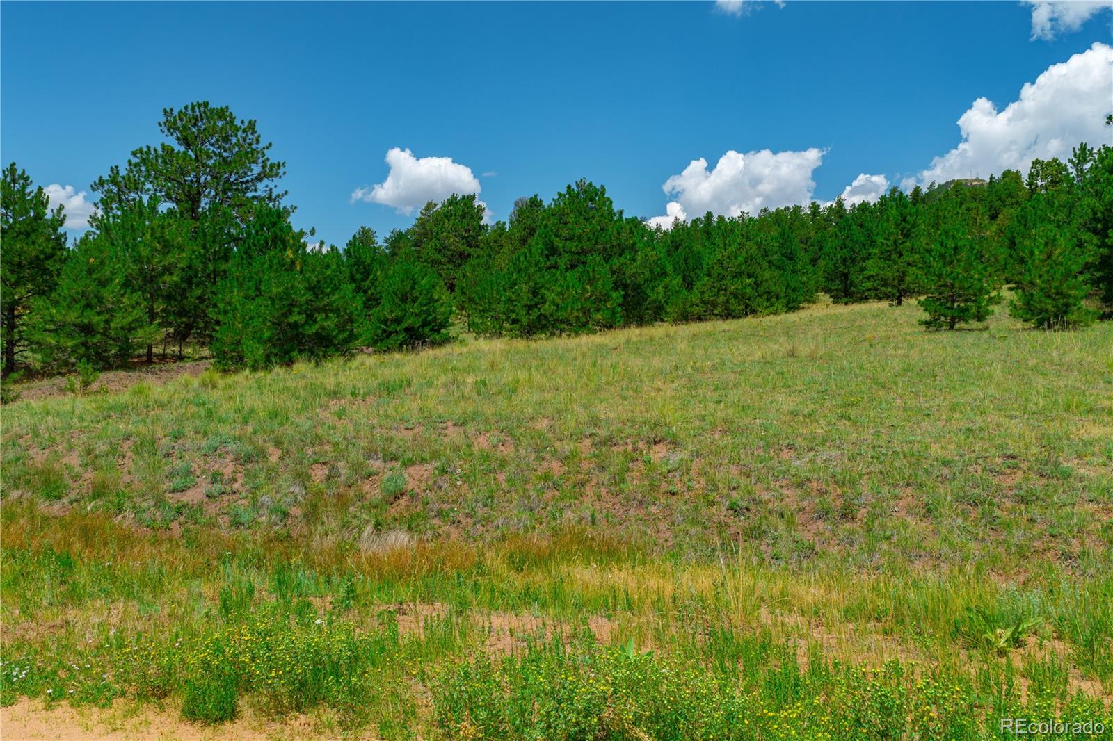 Land in Cripple Creek 2