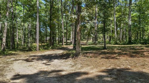 188 Camp Rd, Trinity, TX, 75862-8451 | Card Image