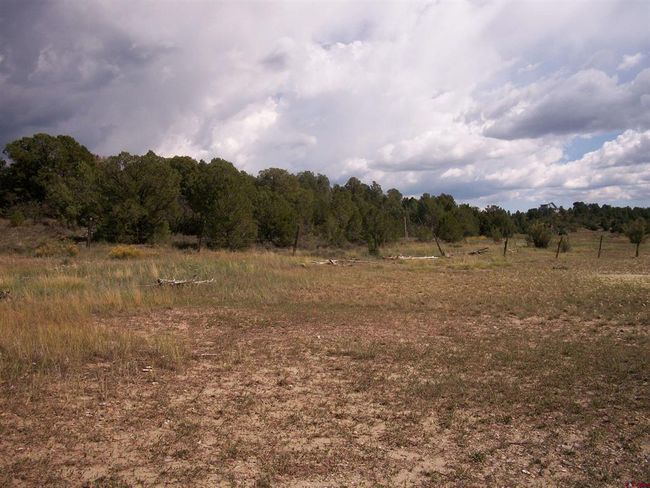 13989 Road 35.6, Home with 0 bedrooms, 0 bathrooms and null parking in Mancos CO | Image 15