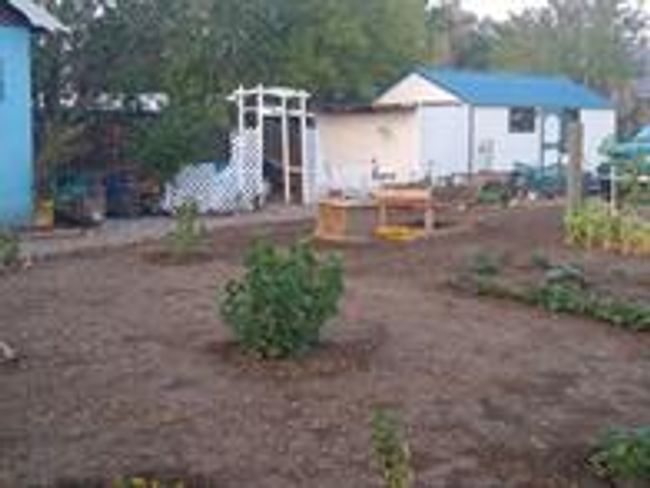 View of yard featuring a storage unit | Image 6