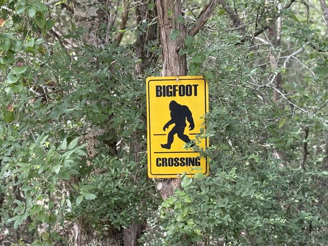Watch Out for Big Foot | Image 6