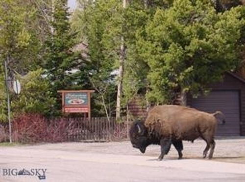 225 N Geyser St, West Yellowstone, MT, 59758-8944 | Card Image