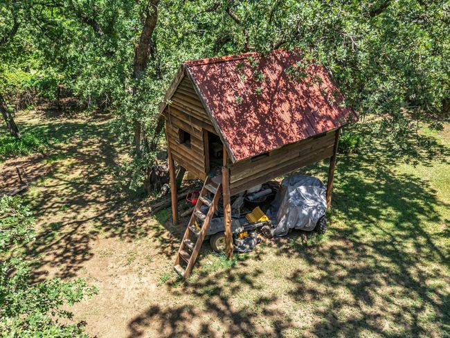 Treehouse | Image 36