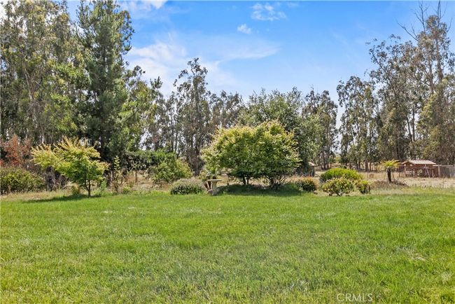 Back yard | Image 9