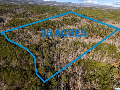 0-56 Acres County Road 202, Piedmont, AL, 36272 | Card Image