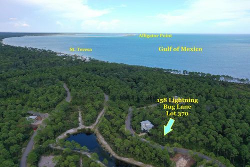 158 Lightning Bug Ln, St. Teresa, FL, 32358-2811 | Card Image