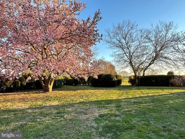 2494 Simonson Rd, House other with 4 bedrooms, 3 bathrooms and null parking in Farnham VA | Image 9