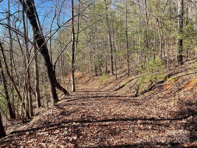 0000 Pine Log Rd, Home with 0 bedrooms, 0 bathrooms and null parking in Warne NC | Image 16