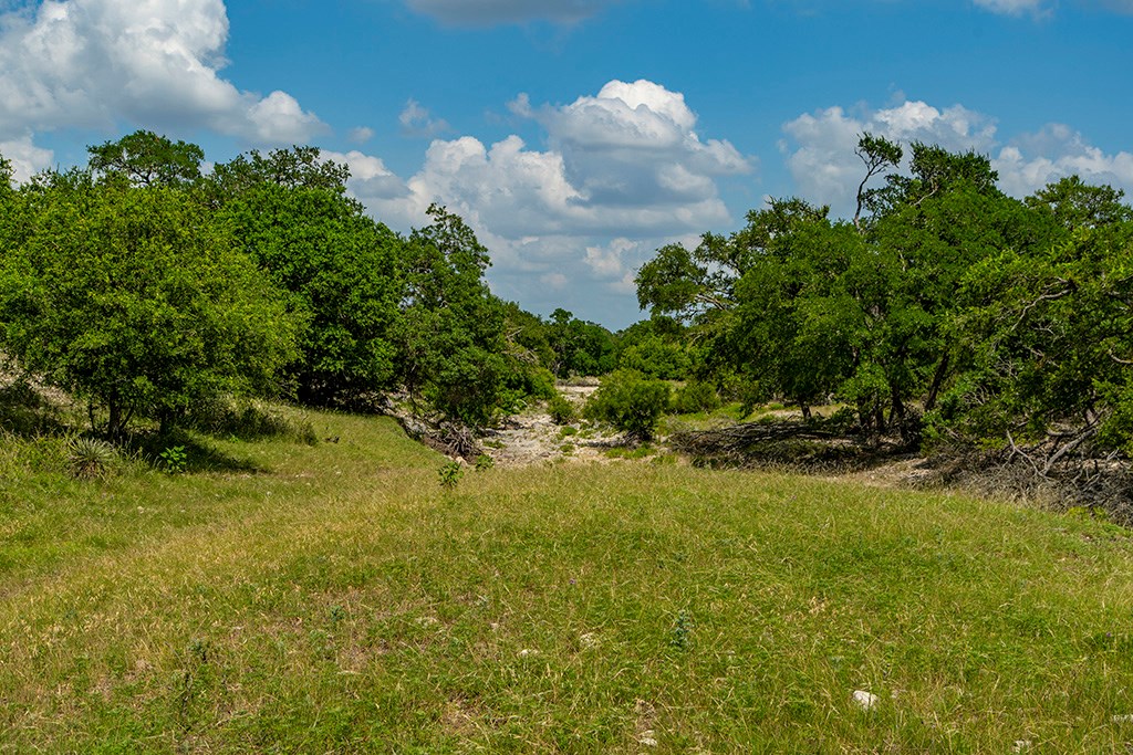 Land in Harper 5