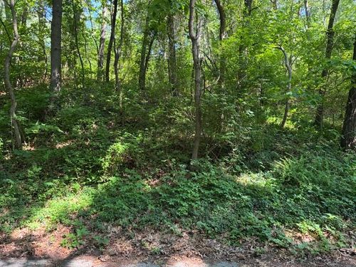 4 Lilac Lane, Grand Beach, MI, 49117 | Card Image