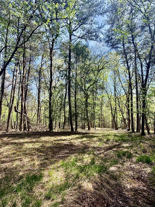 0 Timberwood Trace Lot 310, Monteagle, TN, 37356 | Card Image