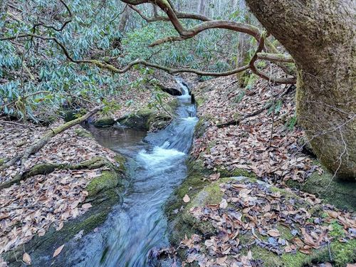 7.69ac Webb Creek Rd, Andrews, NC, 28901 | Card Image