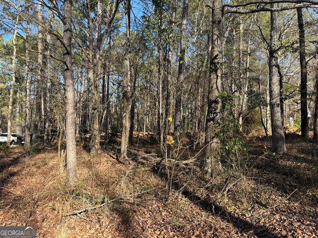 103 Cameron Pointe Dr, Home with 0 bedrooms, 0 bathrooms and null parking in Lagrange GA | Image 4