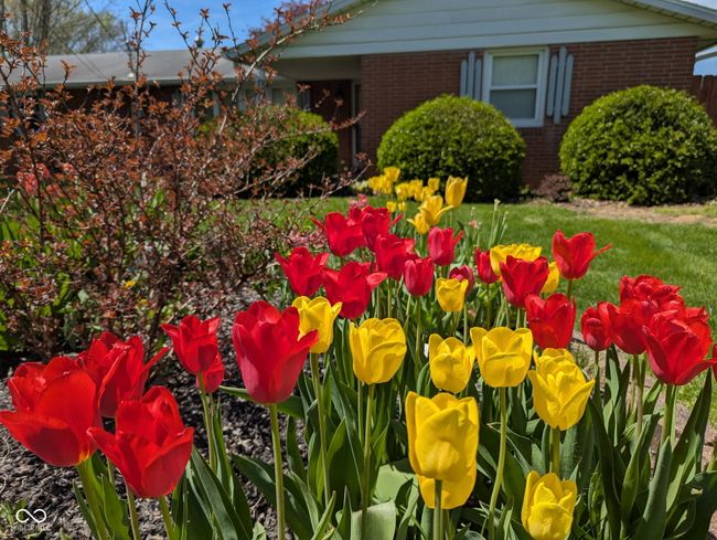 9461 N County Road 800 W, House other with 3 bedrooms, 2 bathrooms and null parking in Middletown IN | Image 60