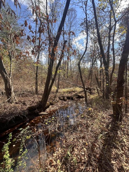 8 County Road 267, Bryant, AL, 35958-4012 | Card Image