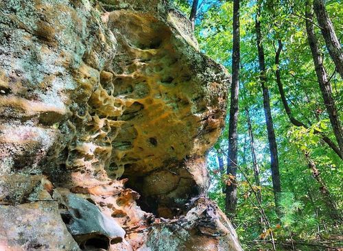 1030 Nada Tunnel Rd, Stanton, KY, 40380-9308 | Card Image