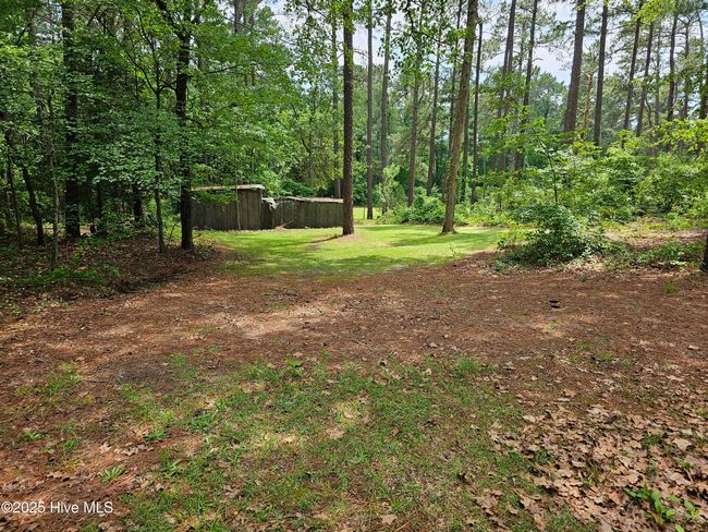 181 Joel Rd, Home with 0 bedrooms, 0 bathrooms and null parking in Carthage NC | Image 17