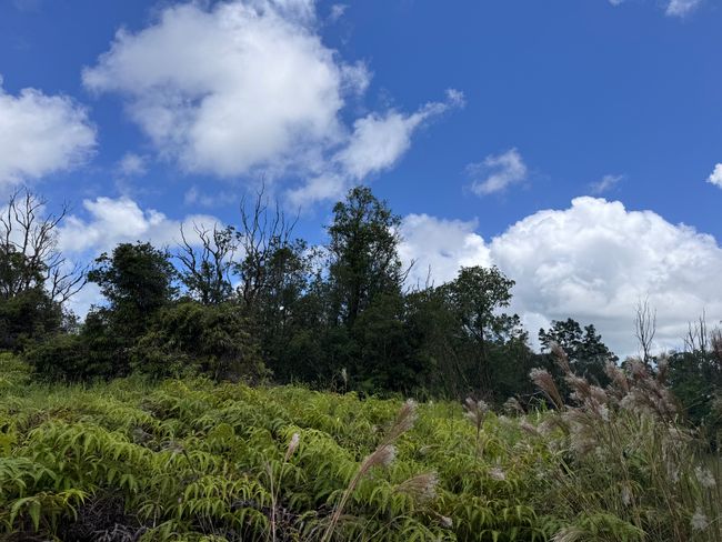 3076 Ainaola Dr, Home with 0 bedrooms, 0 bathrooms and null parking in Hilo HI | Image 4