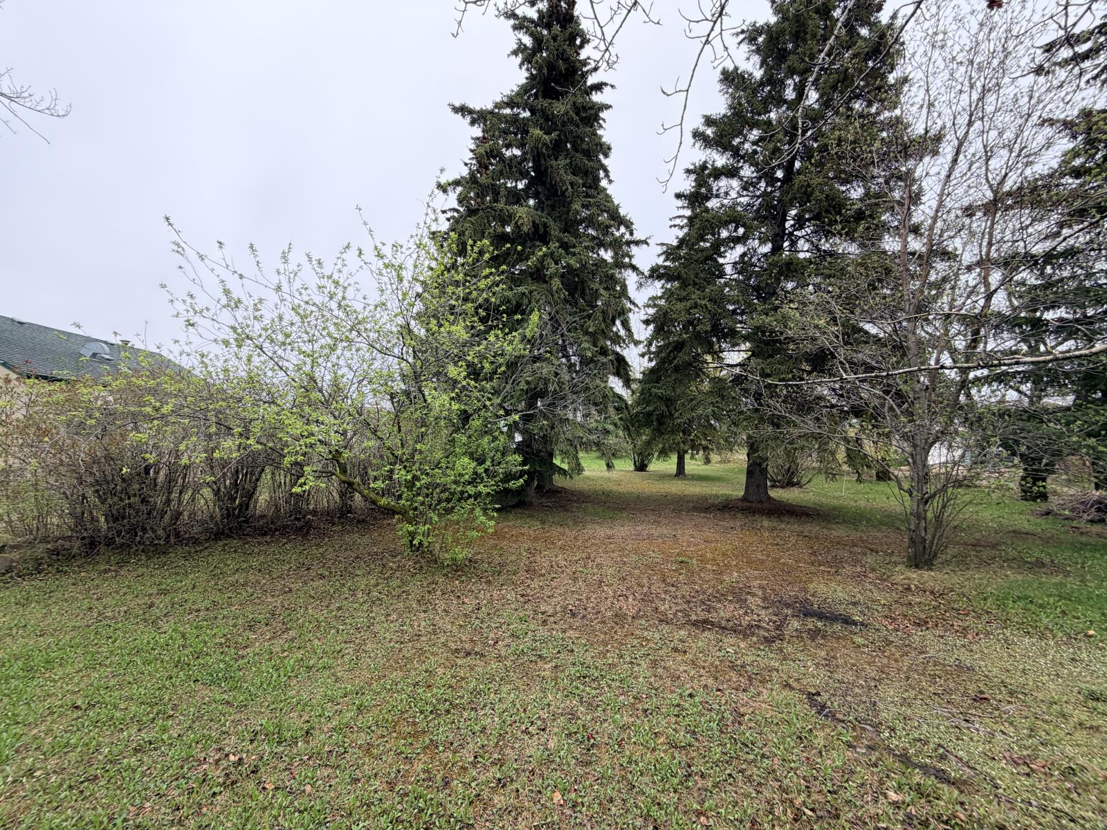 Commercial Sale in Rural Westlock County 5