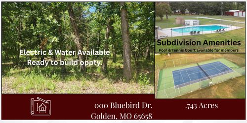 000 Bluebird Dr, Golden, MO, 65658 | Card Image