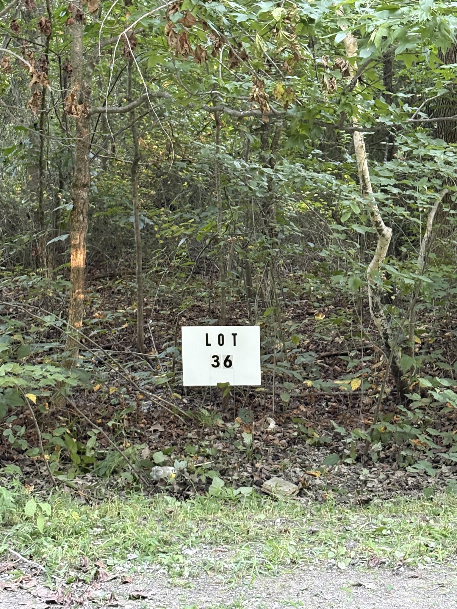 Land in Beechgrove