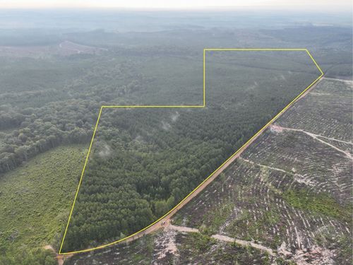 2 Red Rock Rd, Robeline, LA, 71469 | Card Image